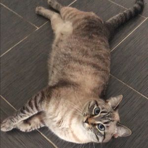 Meet your Posher, Hala